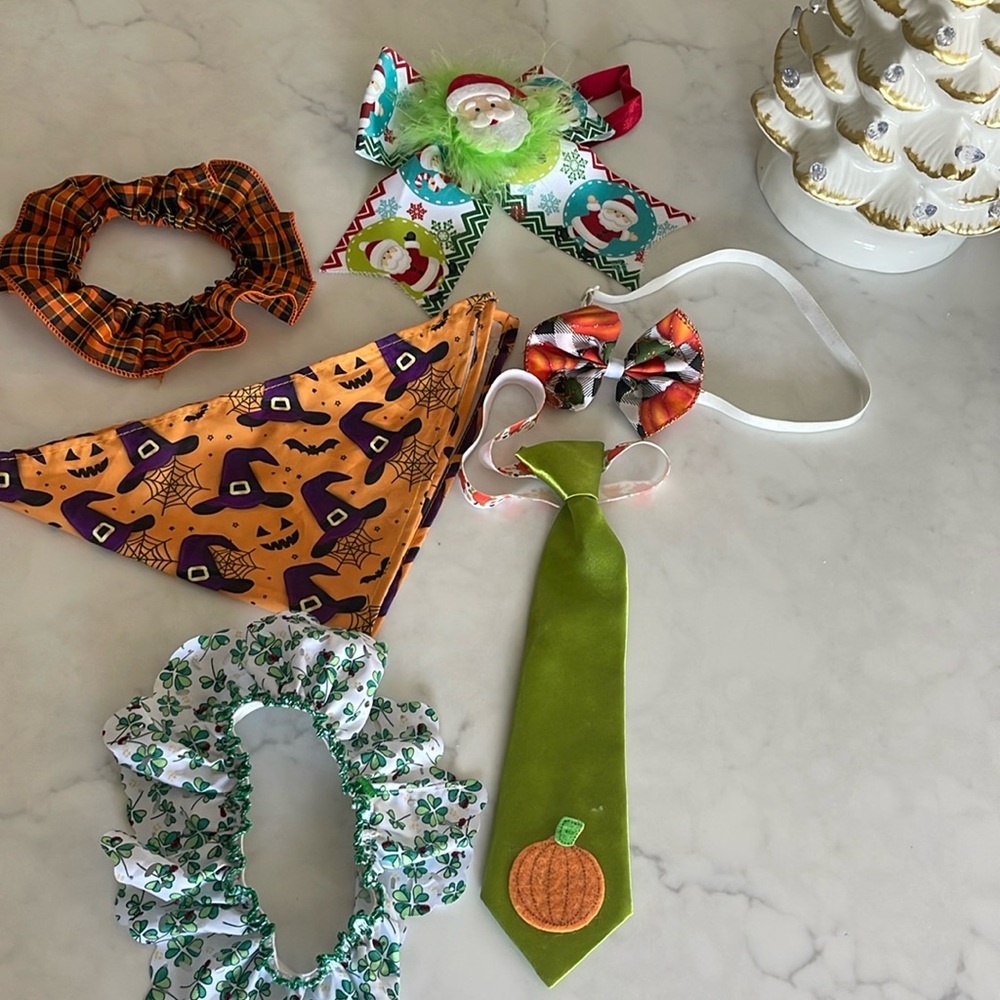Dog Accessories